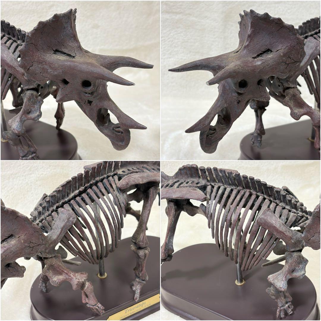 FAVORITE 恐竜 スケルトン 骨格 模型 1/20 ティラノ トリケラ