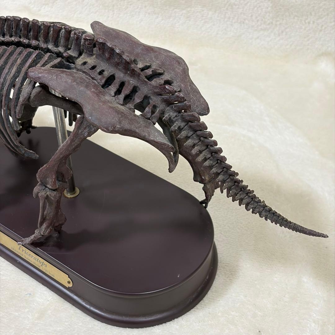 FAVORITE 恐竜 スケルトン 骨格 模型 1/20 ティラノ トリケラ