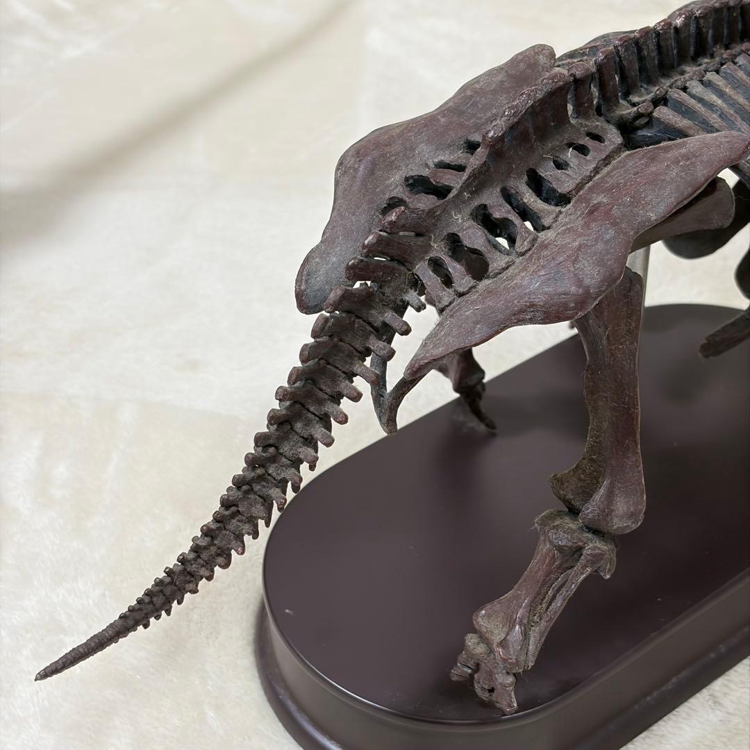 FAVORITE 恐竜 スケルトン 骨格 模型 1/20 ティラノ トリケラ