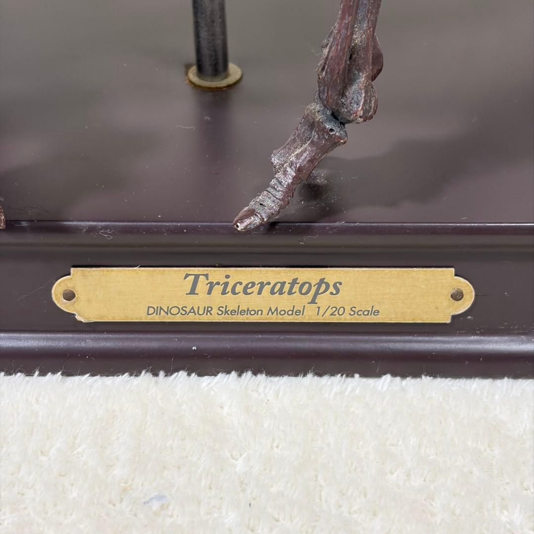 FAVORITE 恐竜 スケルトン 骨格 模型 1/20 ティラノ トリケラ