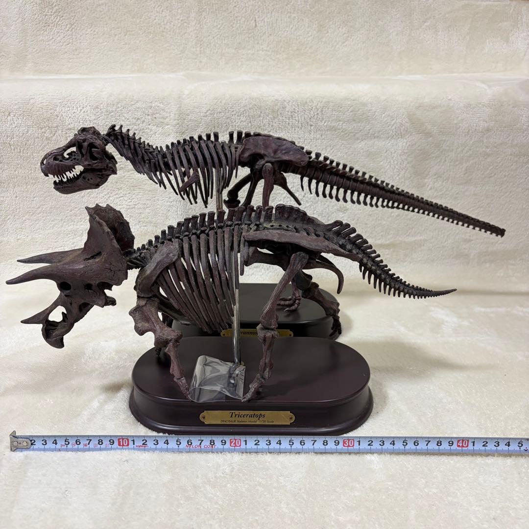 FAVORITE 恐竜 スケルトン 骨格 模型 1/20 ティラノ トリケラ