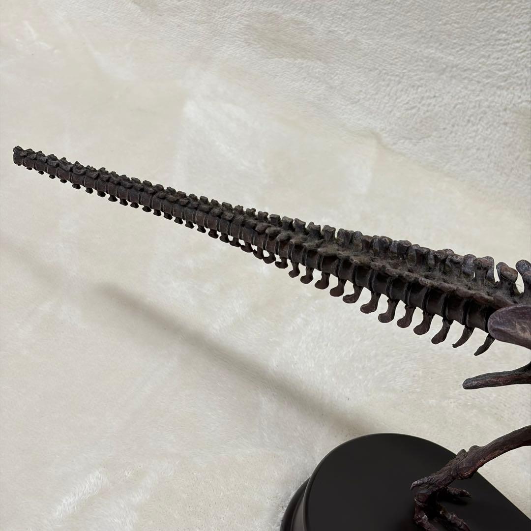 FAVORITE 恐竜 スケルトン 骨格 模型 1/20 ティラノ トリケラ