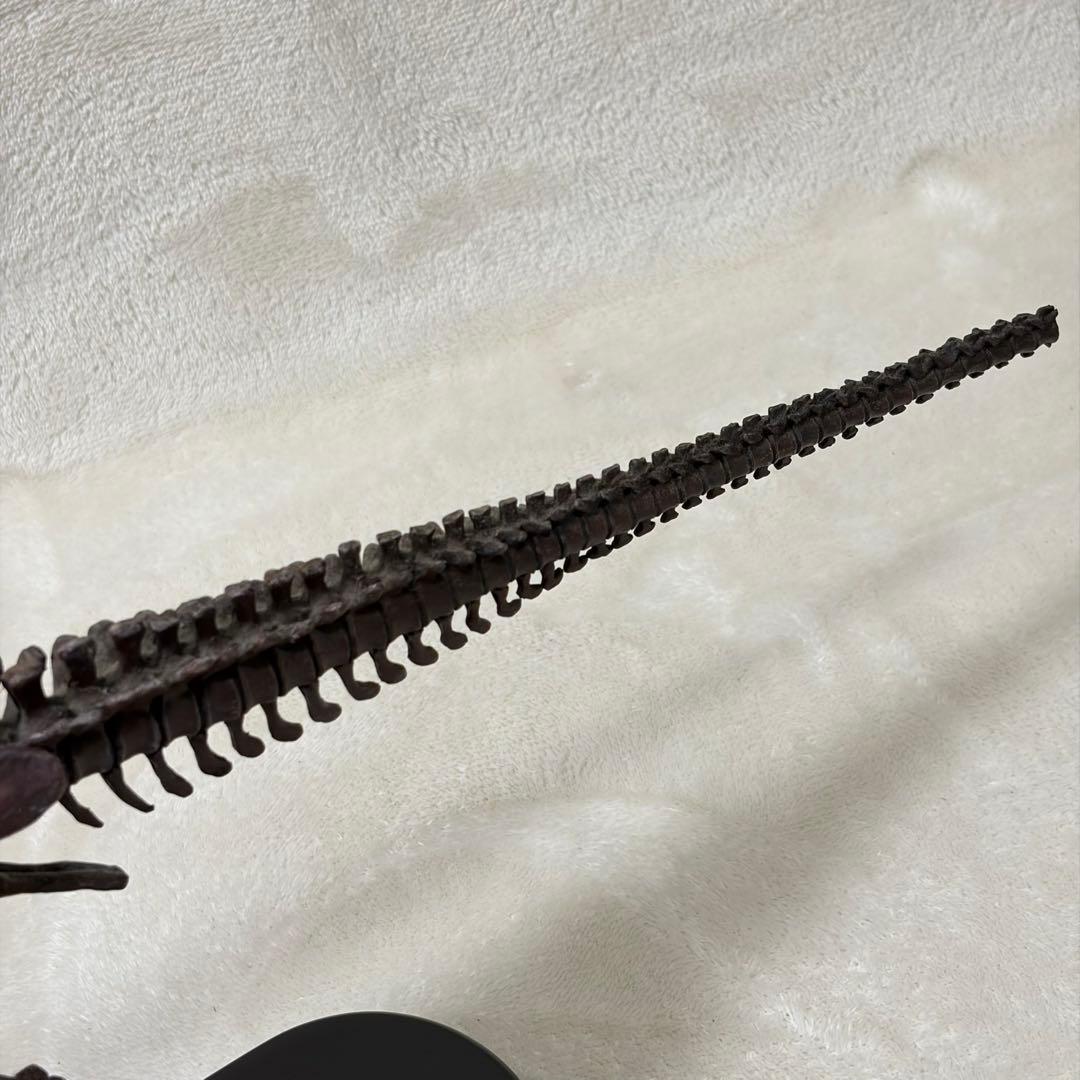 FAVORITE 恐竜 スケルトン 骨格 模型 1/20 ティラノ トリケラ