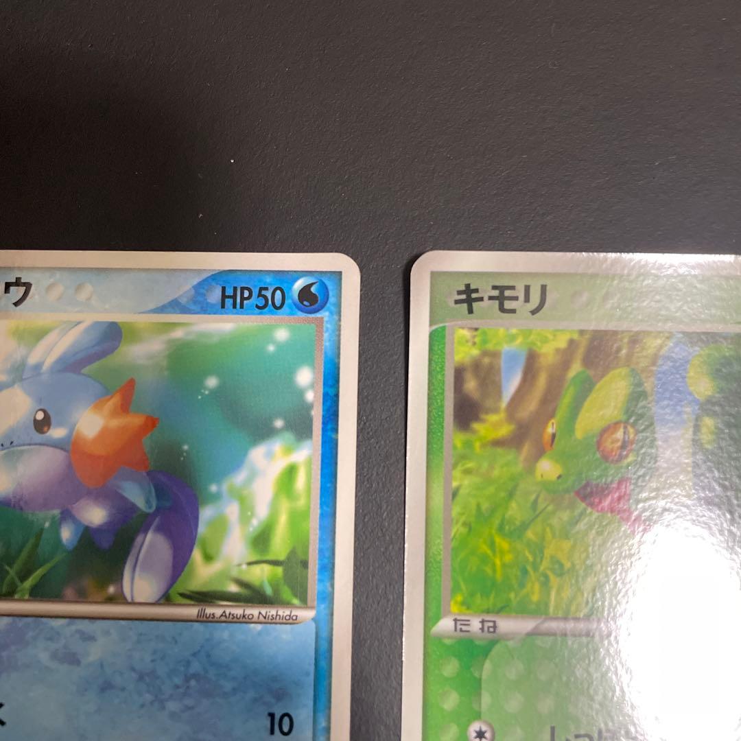 ミズゴロウ キモリ PROMO ADV-Pプロモカード 005/ADV-P