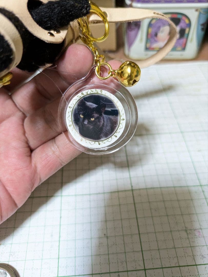 モコ太郎出品 豆猫PECOLIN