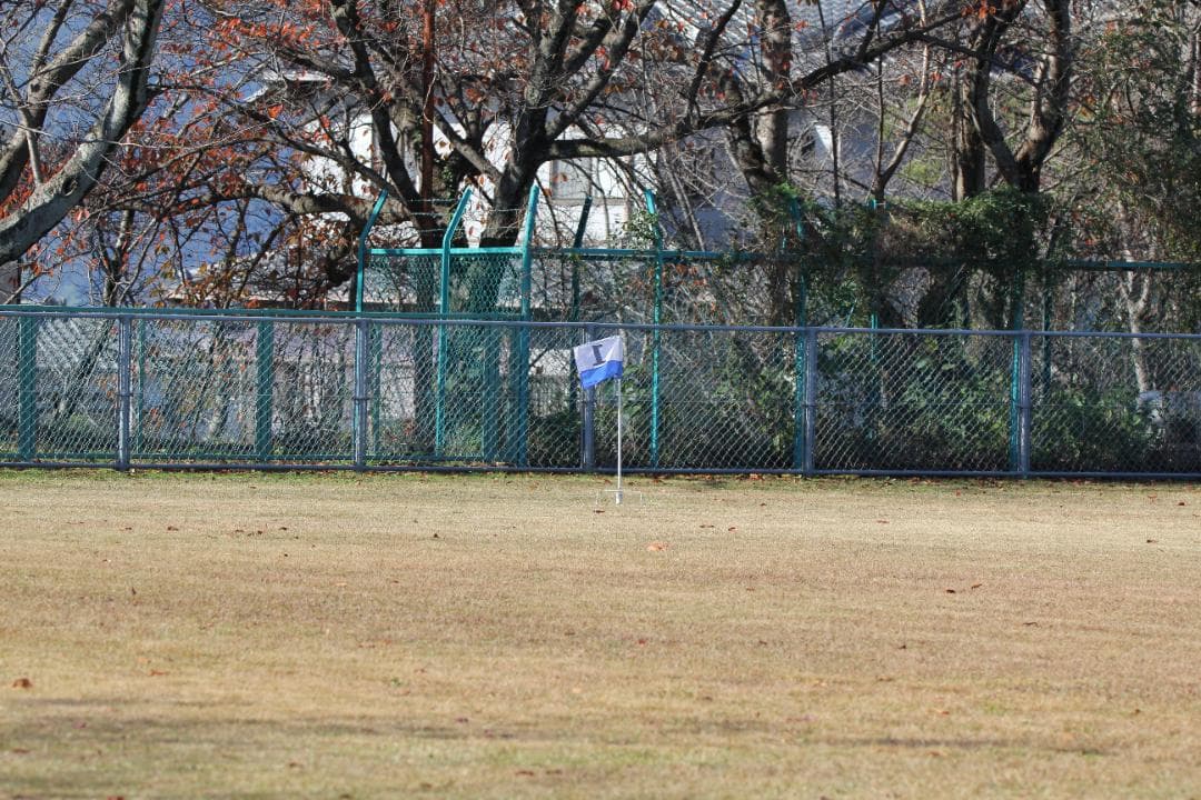 【ケース付き】 SIGMA 150-600mm F5-6.3 Canon EF