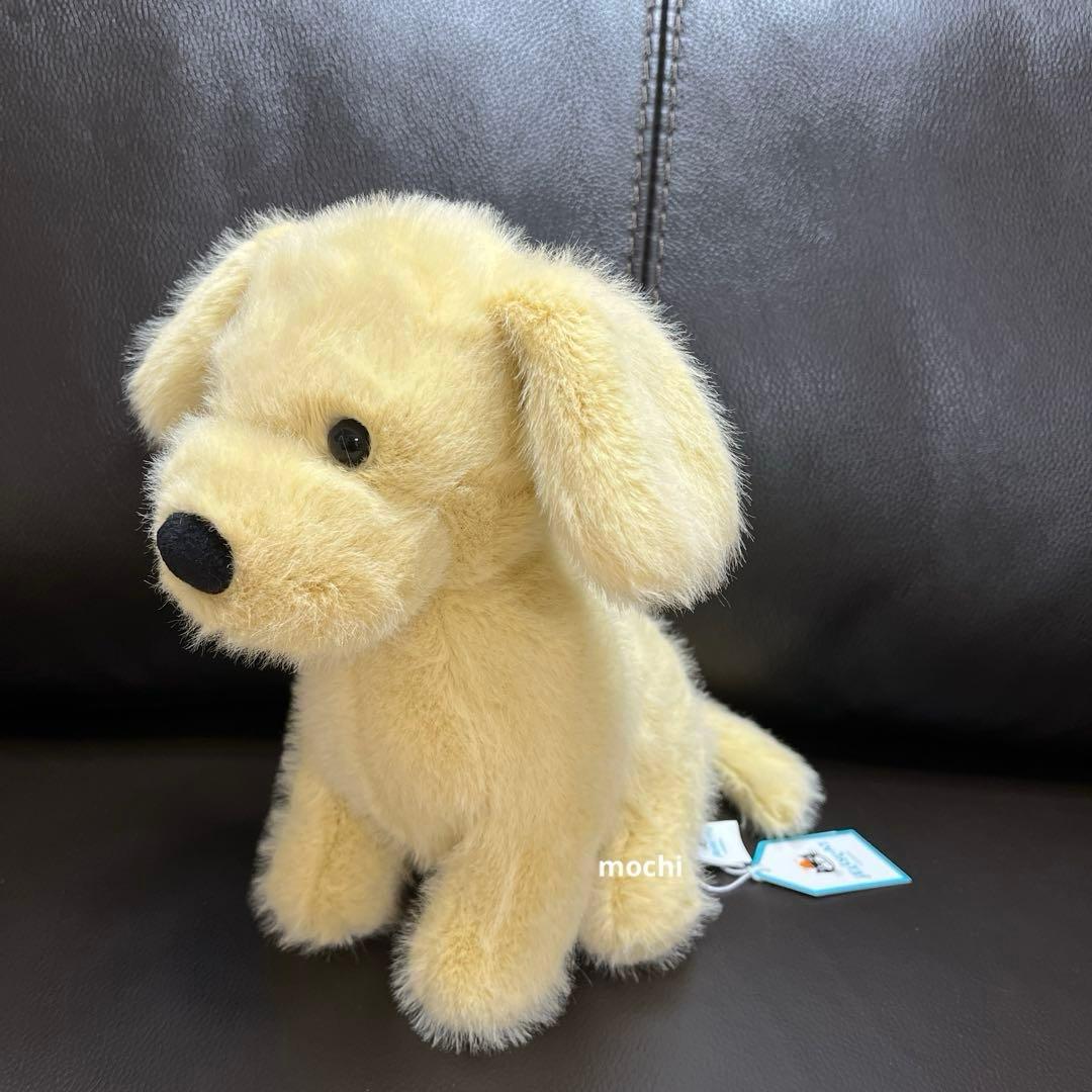  Golden Puppy ゴールデンレトリバー