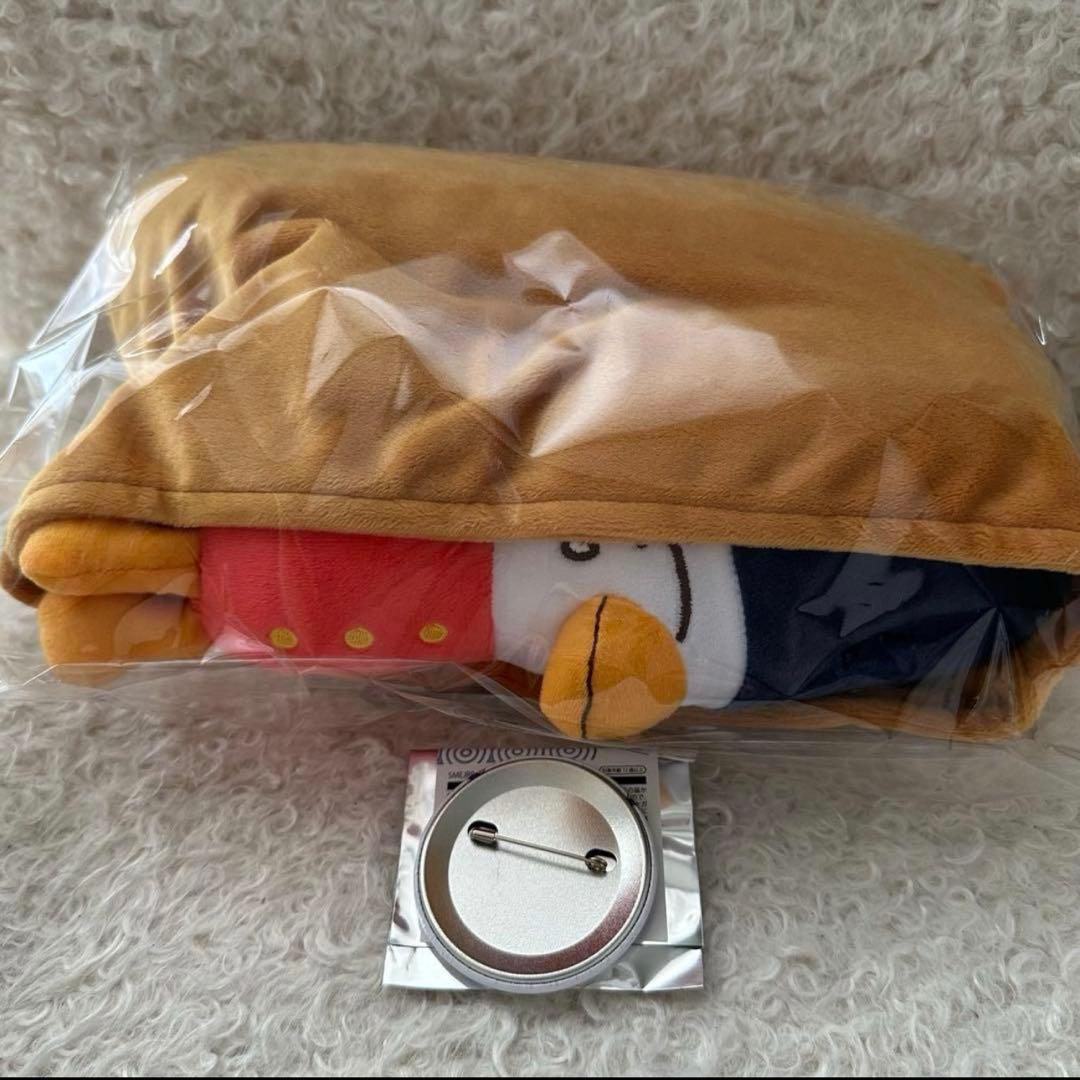 【未開封】RIIZE ソヒ らいずし ぬいぐるみ 缶バッジ 2点セット