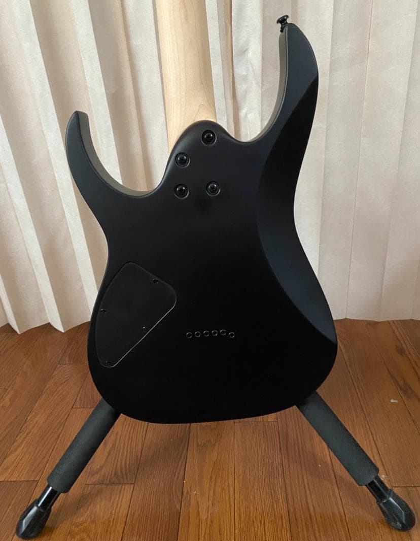 ギター Ibanez RG421EX-BKF