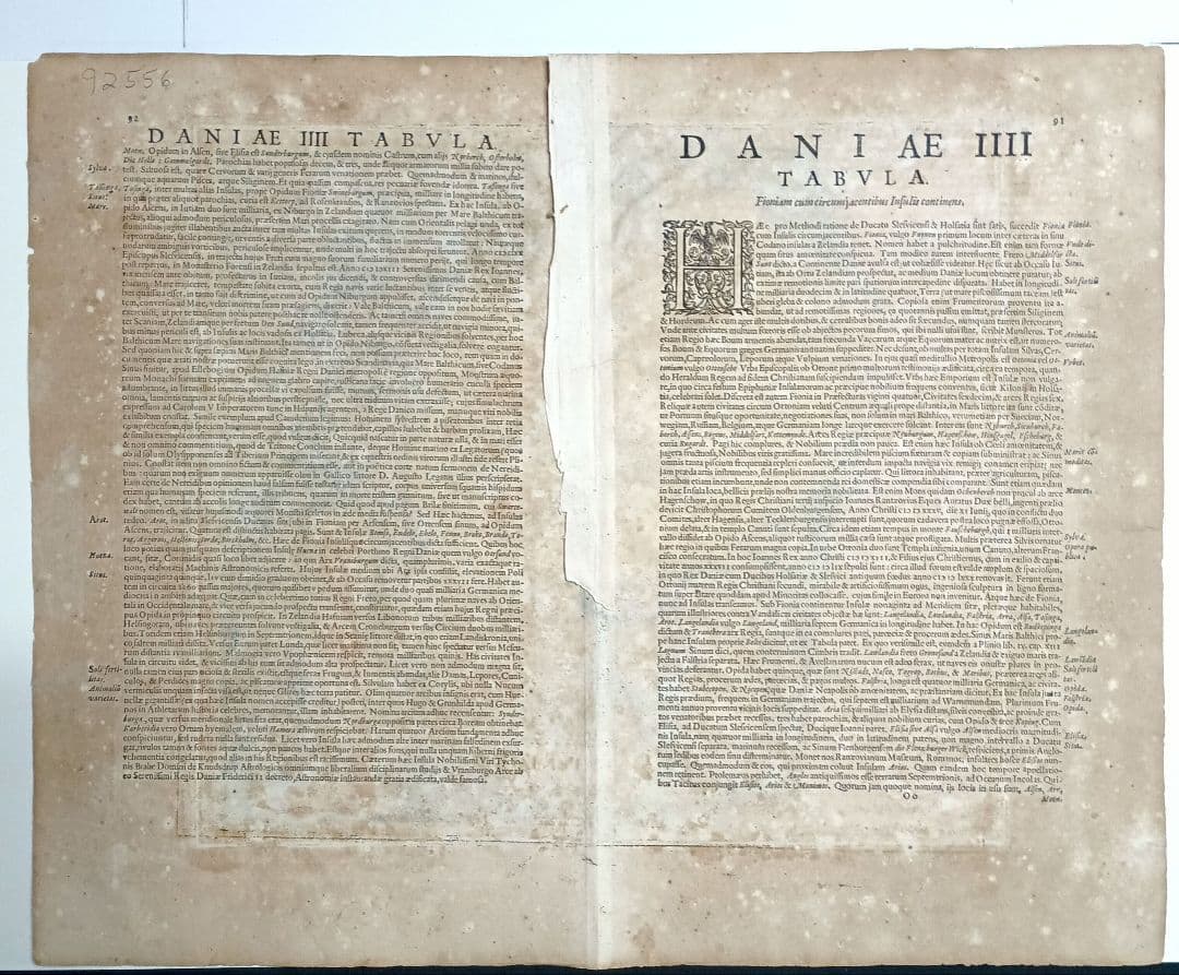 額装品　G.MERCATOR メルカトル　「FIONIA」デンマーク　稀少　美品