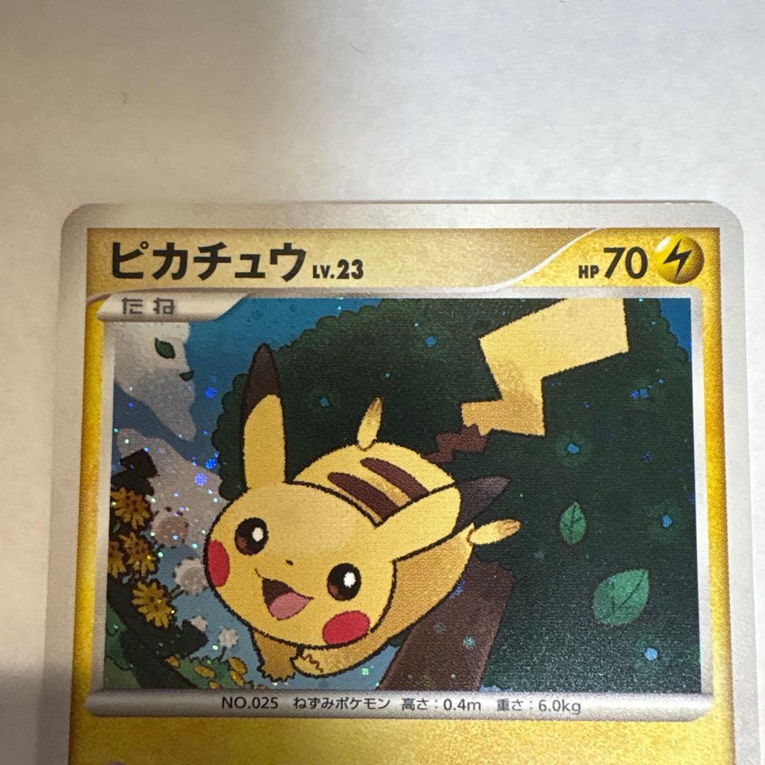 ピカチュウ lv.23