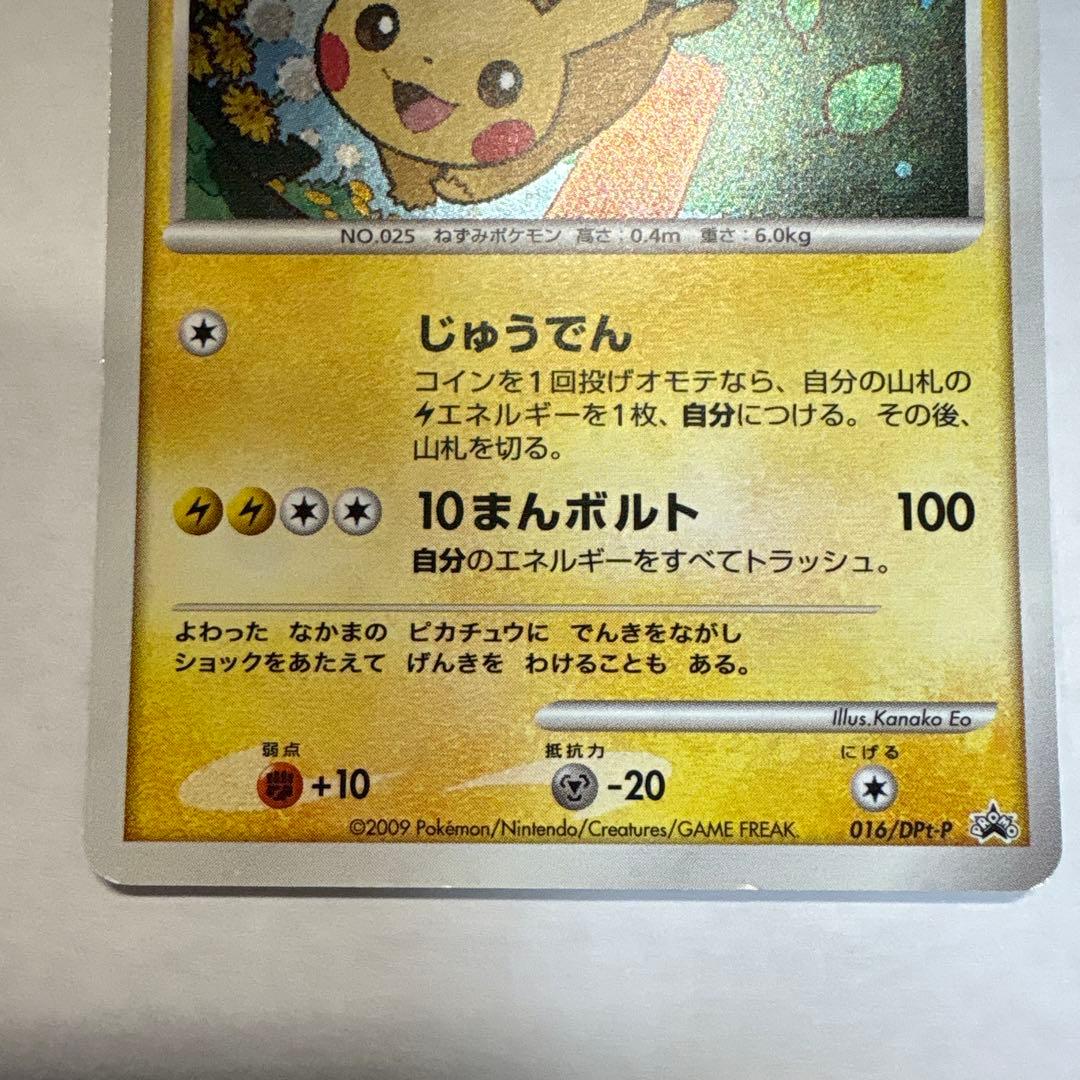 ピカチュウ lv.23