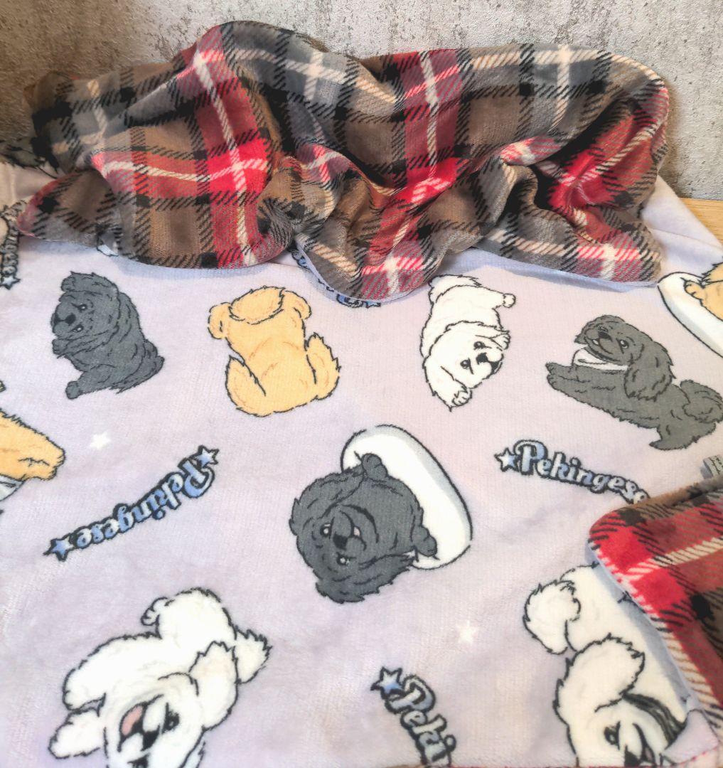専用⭐みかん❤トロっとろ❤特大ブランケット❤ペキニーズ。グレージュ