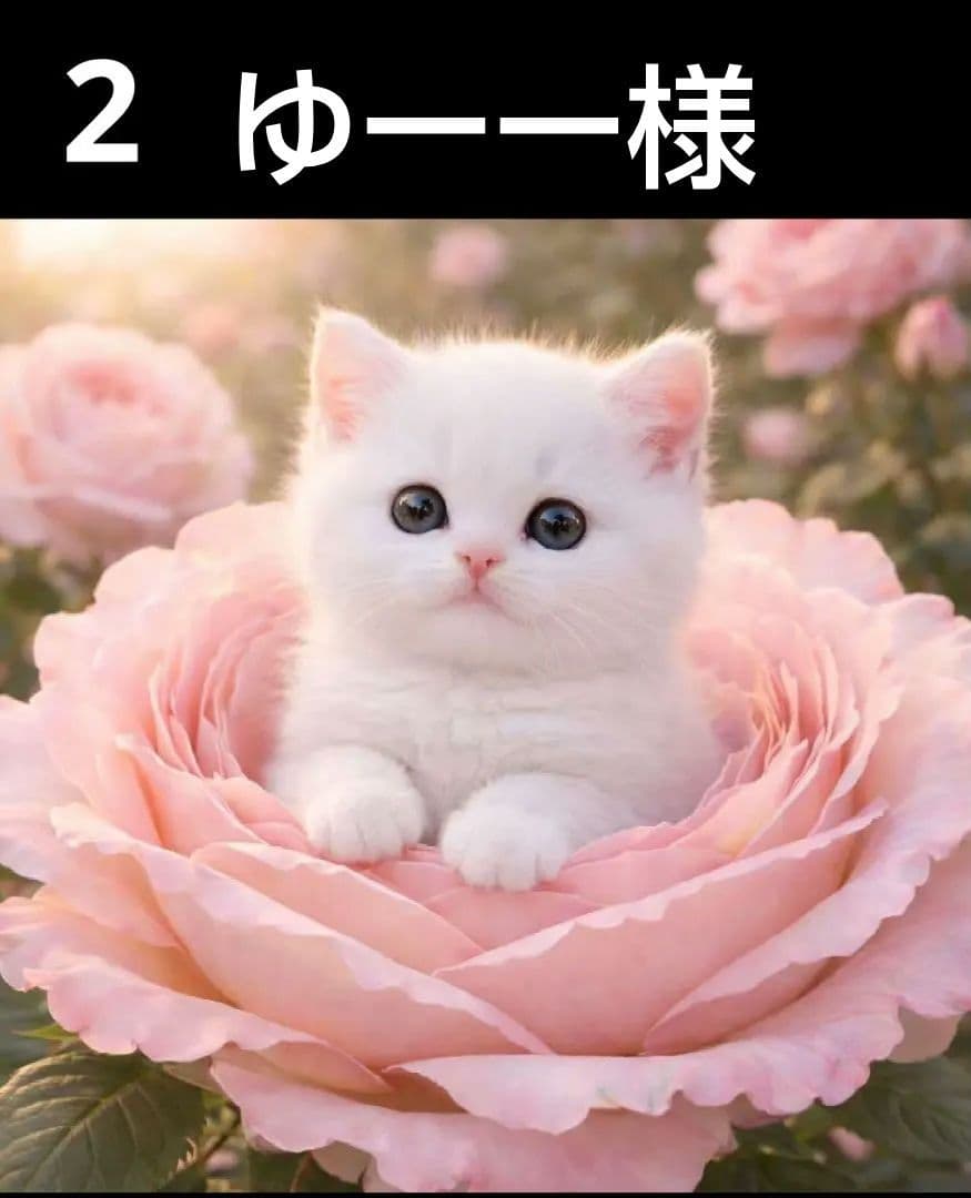 オーダーページ　ハンカチ　大輪バラねこちゃん柄　ハンドメイド3/19