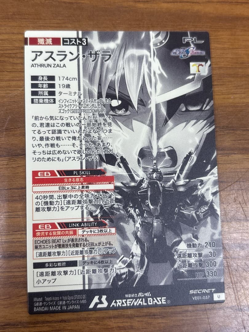 アスラン・ザラ　シークレット