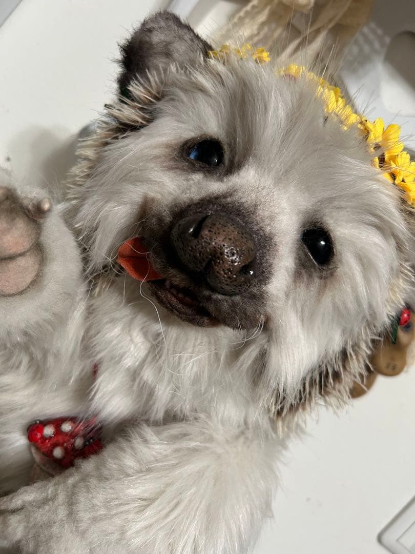 海外作家様　ぬいぐるみ　テディベア　アートドール　ハリネズミ