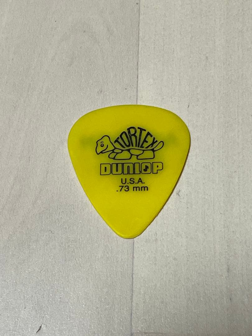 acidman 大木伸夫　ギターピック