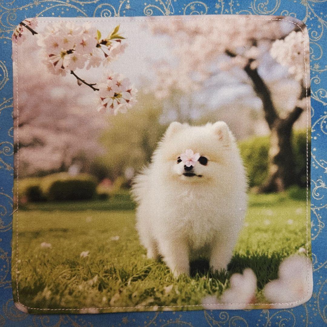 Youretia 　ハンカチ　わんこさん柄2/25