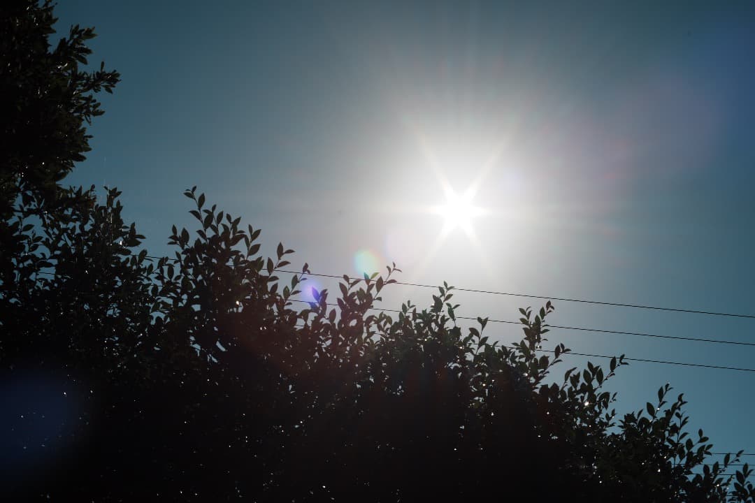 【ほぼライカ】動作◎ MD ROKKOR 50mm F1.4 ミノルタ 495