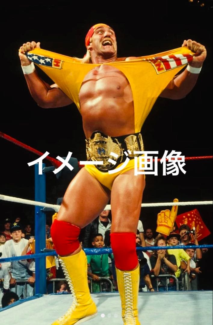 ハルク・ホ－ガン フィギュア WWE レア 当時物