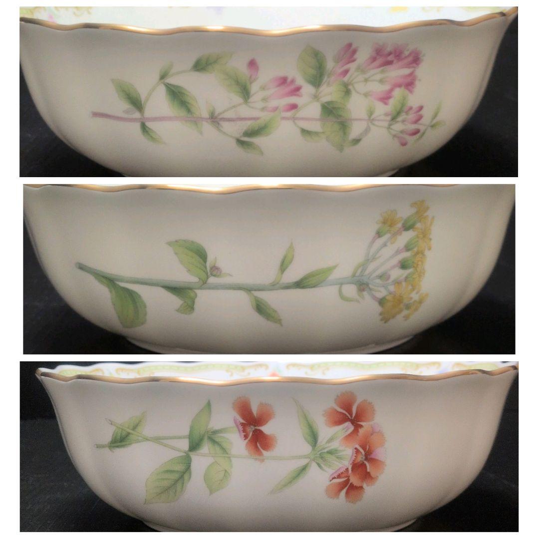 ナルミ シーボルト 絵付け皿 植物画 金彩