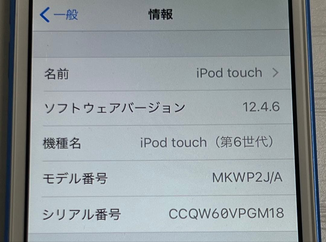 Apple iPod touch (第6世代 ブルー) 美品