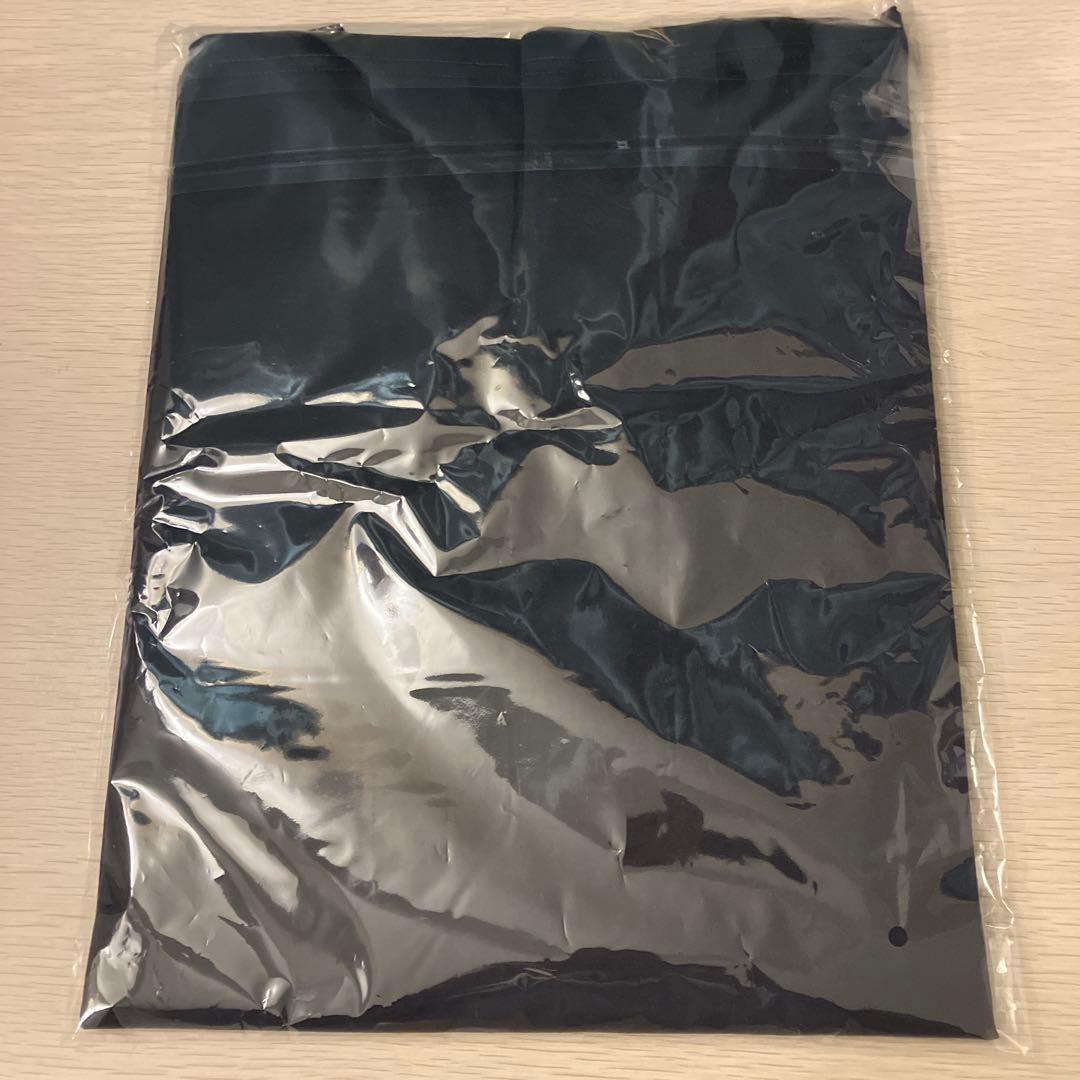 stray kids スキズ 6期 ペンミ STAY 会場 特典 Tシャツ