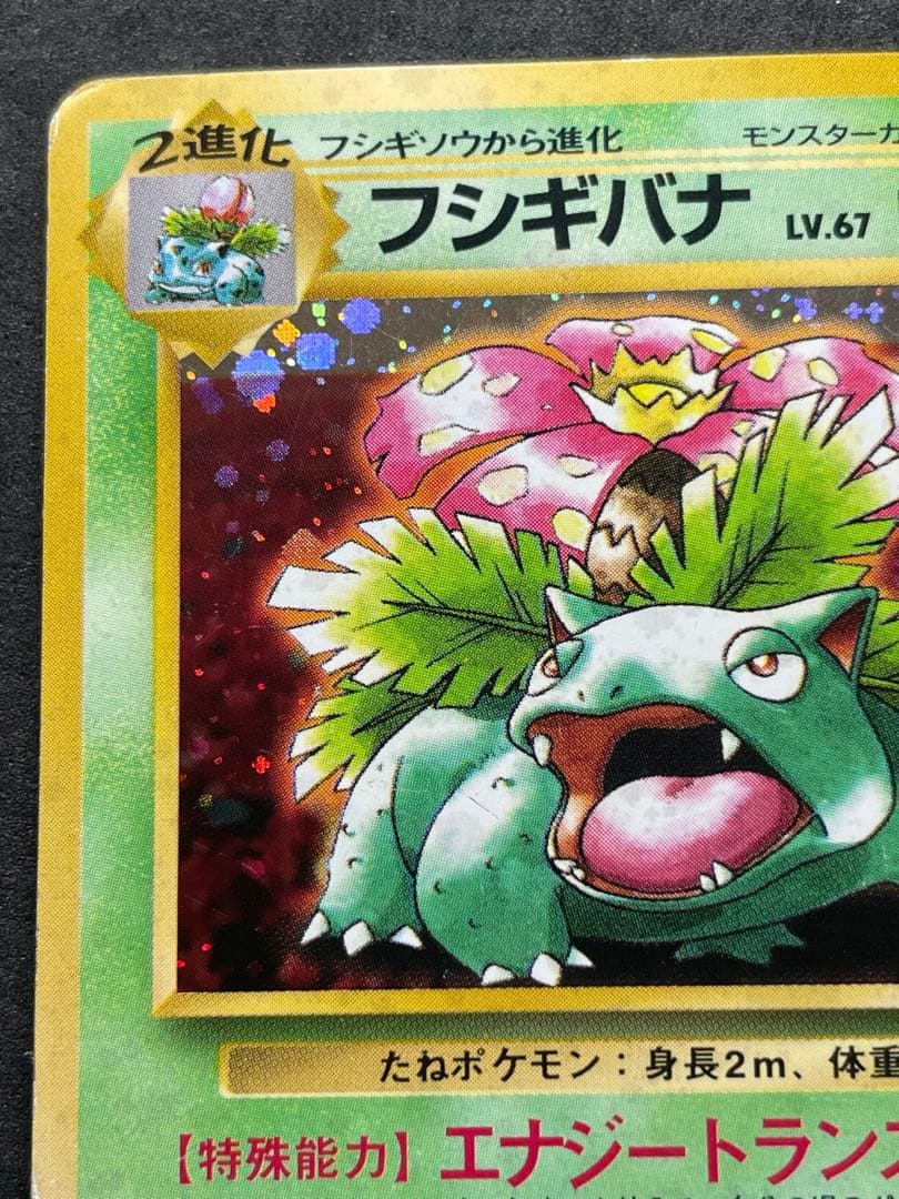 フシギバナ 旧裏 「とりかえっこプリーズ」 キャンペーンカード PROMO