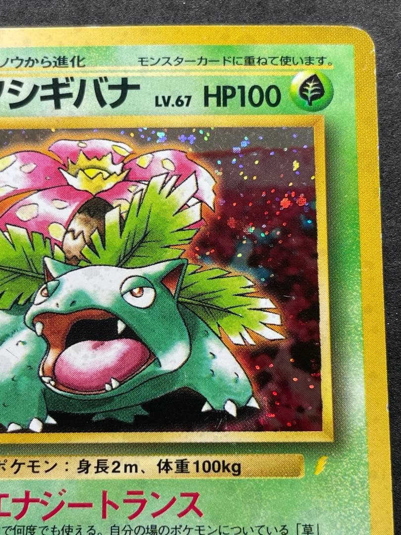 フシギバナ 旧裏 「とりかえっこプリーズ」 キャンペーンカード PROMO