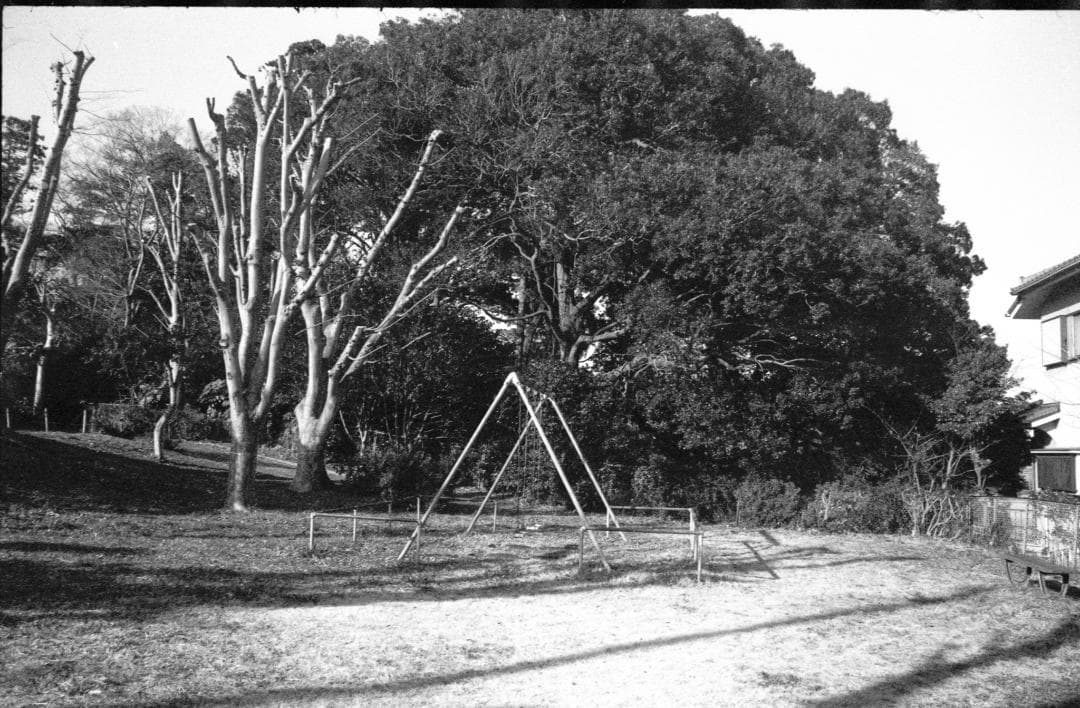 ＜作例＞YUS Automatic 28mm f2.8 単焦点 Y/Cマウント