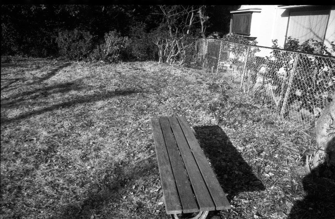 ＜作例＞YUS Automatic 28mm f2.8 単焦点 Y/Cマウント