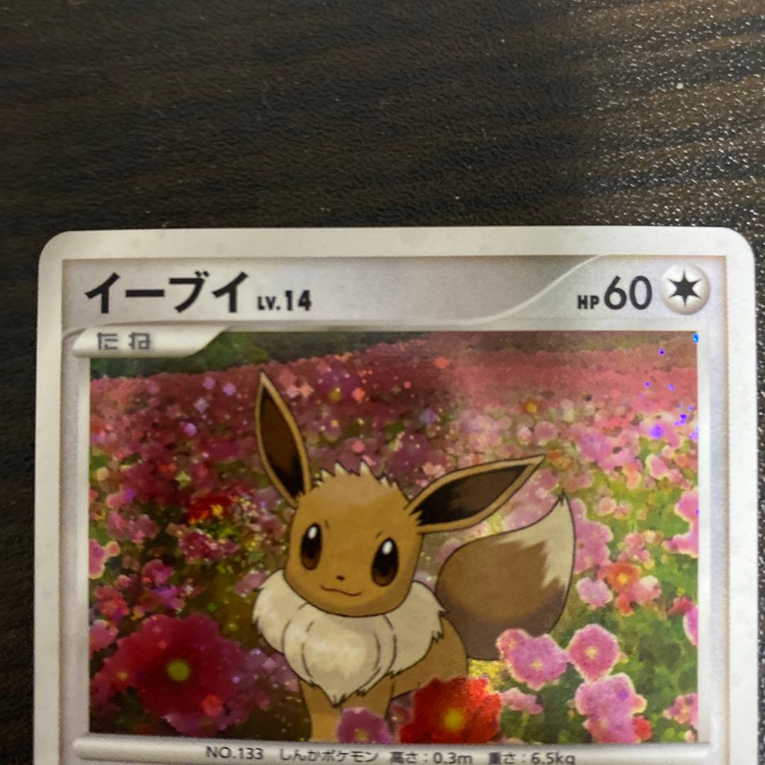 ポケモンカード　とりかえっこ　イーブイ　美品