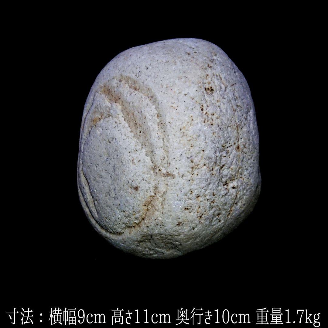 【天然石御神体】◎仏間・神棚・居間・玄関・仕事場・エントランス・鑑賞用等に最適！