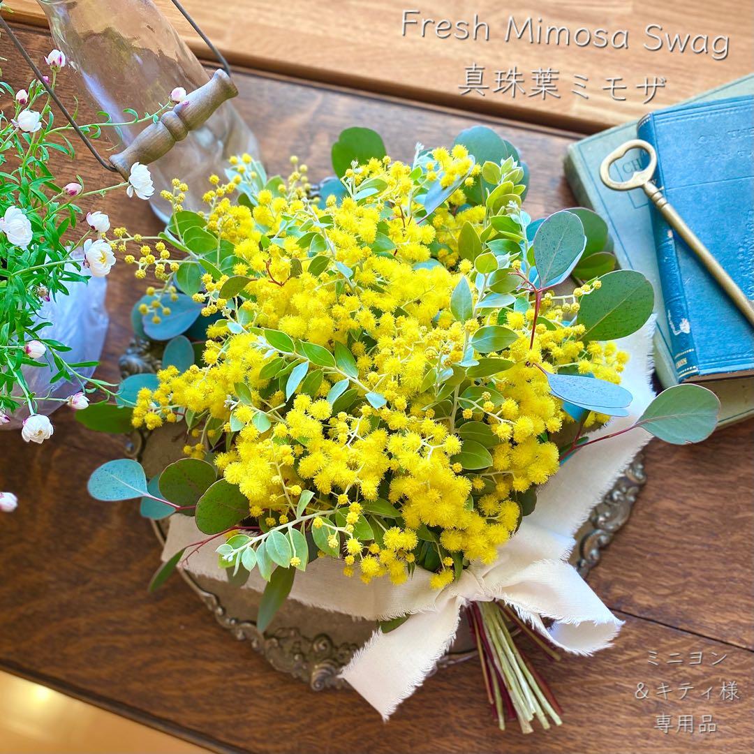 ⚠️専用品⚠️ フレッシュ ミモザ スワッグ　パールアカシア
