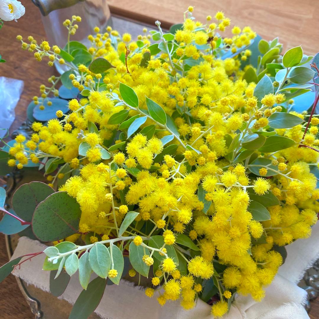 ⚠️専用品⚠️ フレッシュ ミモザ スワッグ　パールアカシア