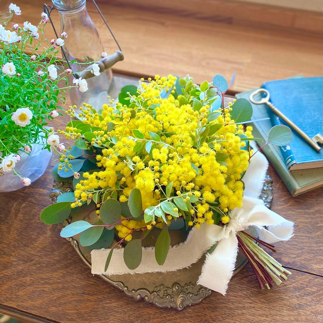 ⚠️専用品⚠️ フレッシュ ミモザ スワッグ　パールアカシア