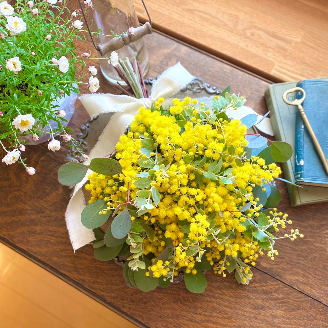 ⚠️専用品⚠️ フレッシュ ミモザ スワッグ　パールアカシア