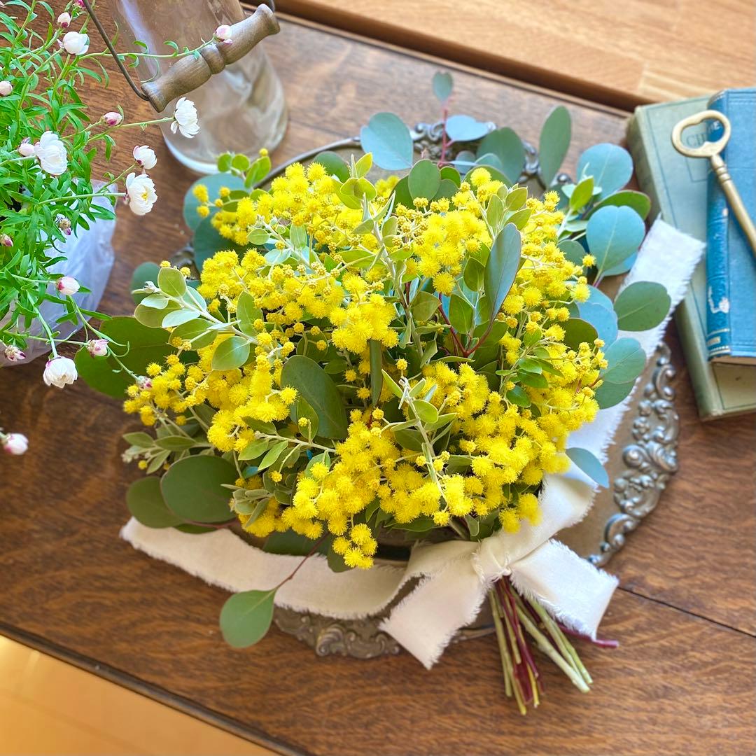 ⚠️専用品⚠️ フレッシュ ミモザ スワッグ　パールアカシア