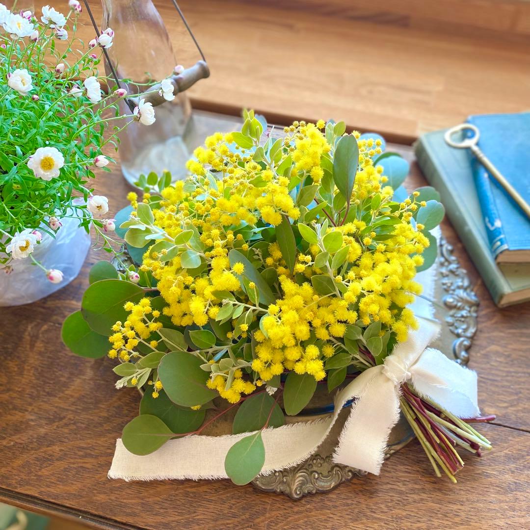 ⚠️専用品⚠️ フレッシュ ミモザ スワッグ　パールアカシア