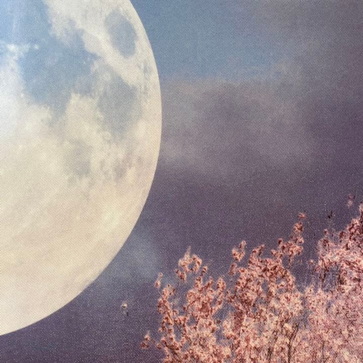 キャンバス プリントアート 満月と桜 インテリア 絵画