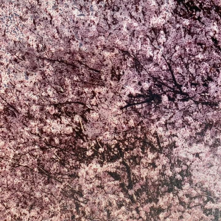 キャンバス プリントアート 満月と桜 インテリア 絵画