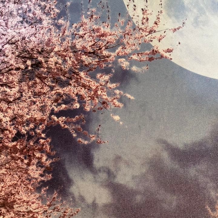 キャンバス プリントアート 満月と桜 インテリア 絵画