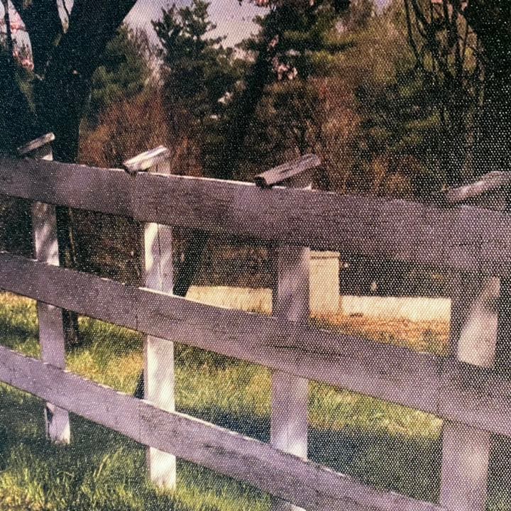 キャンバス プリントアート 満月と桜 インテリア 絵画