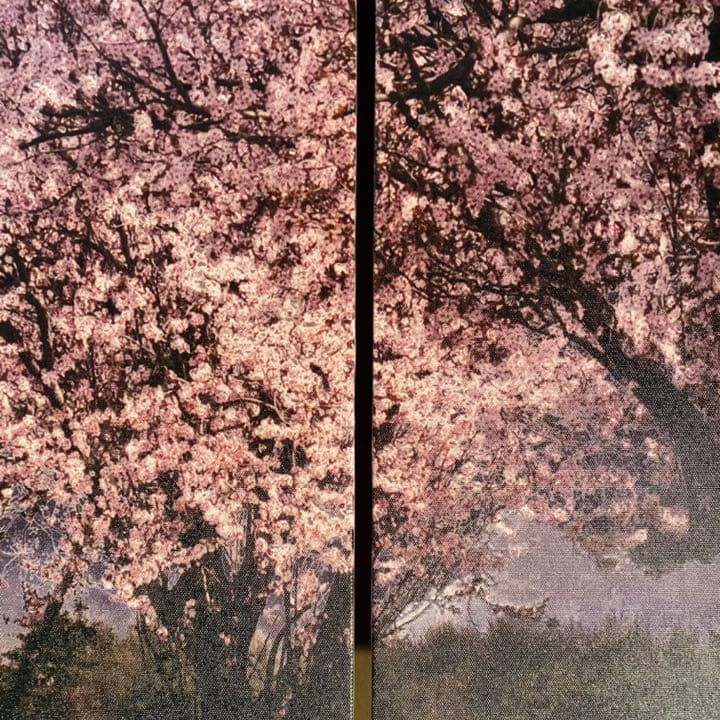 キャンバス プリントアート 満月と桜 インテリア 絵画