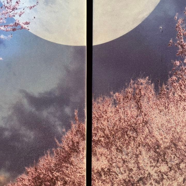 キャンバス プリントアート 満月と桜 インテリア 絵画