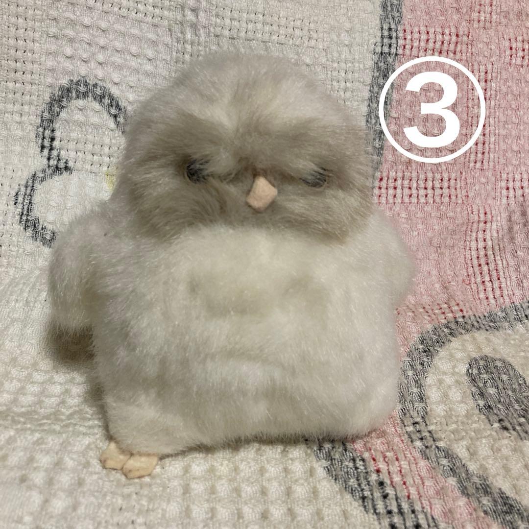 やまね工房　ぬいぐるみ　11コセット　中古品　落合けいこ