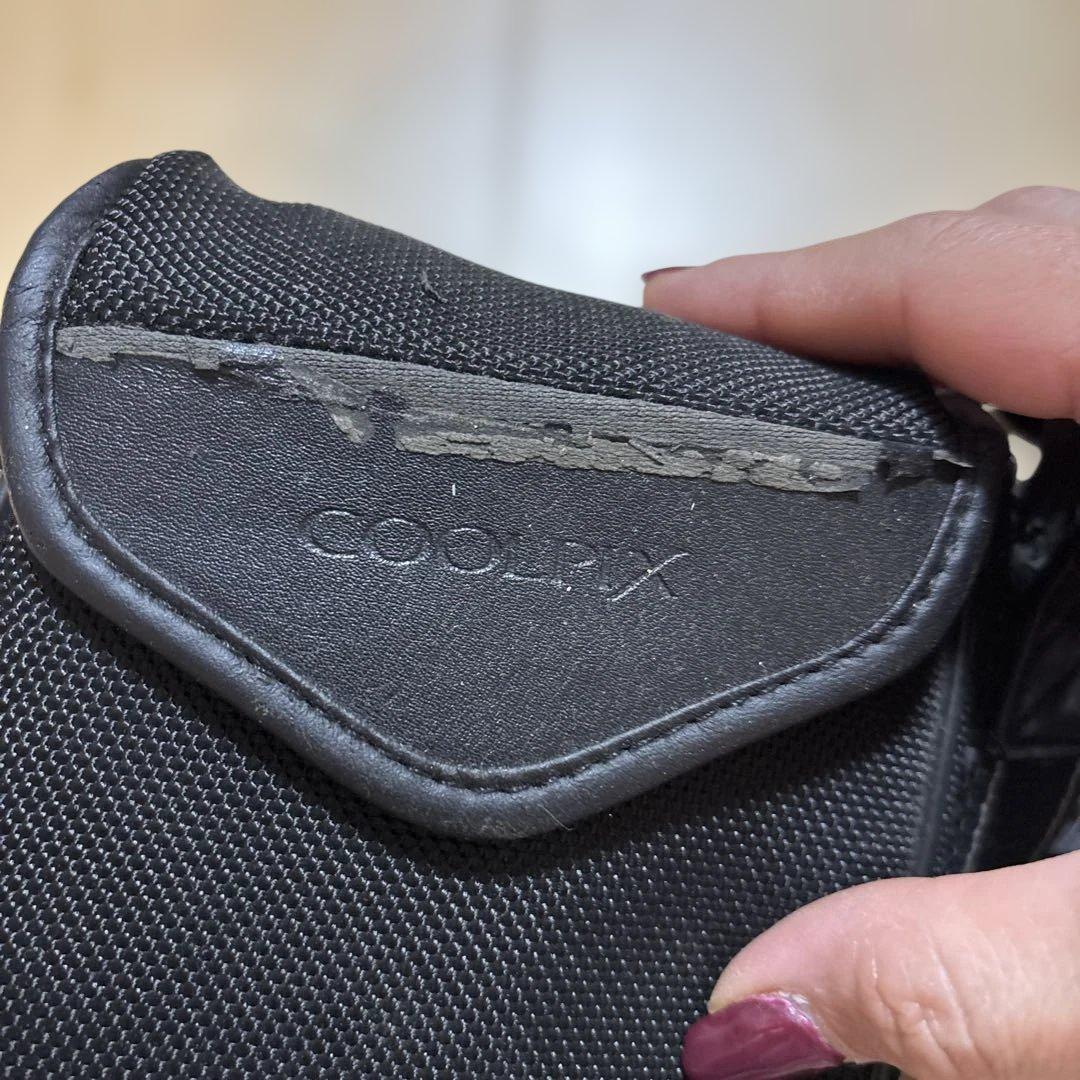 Nikon クールピクセル