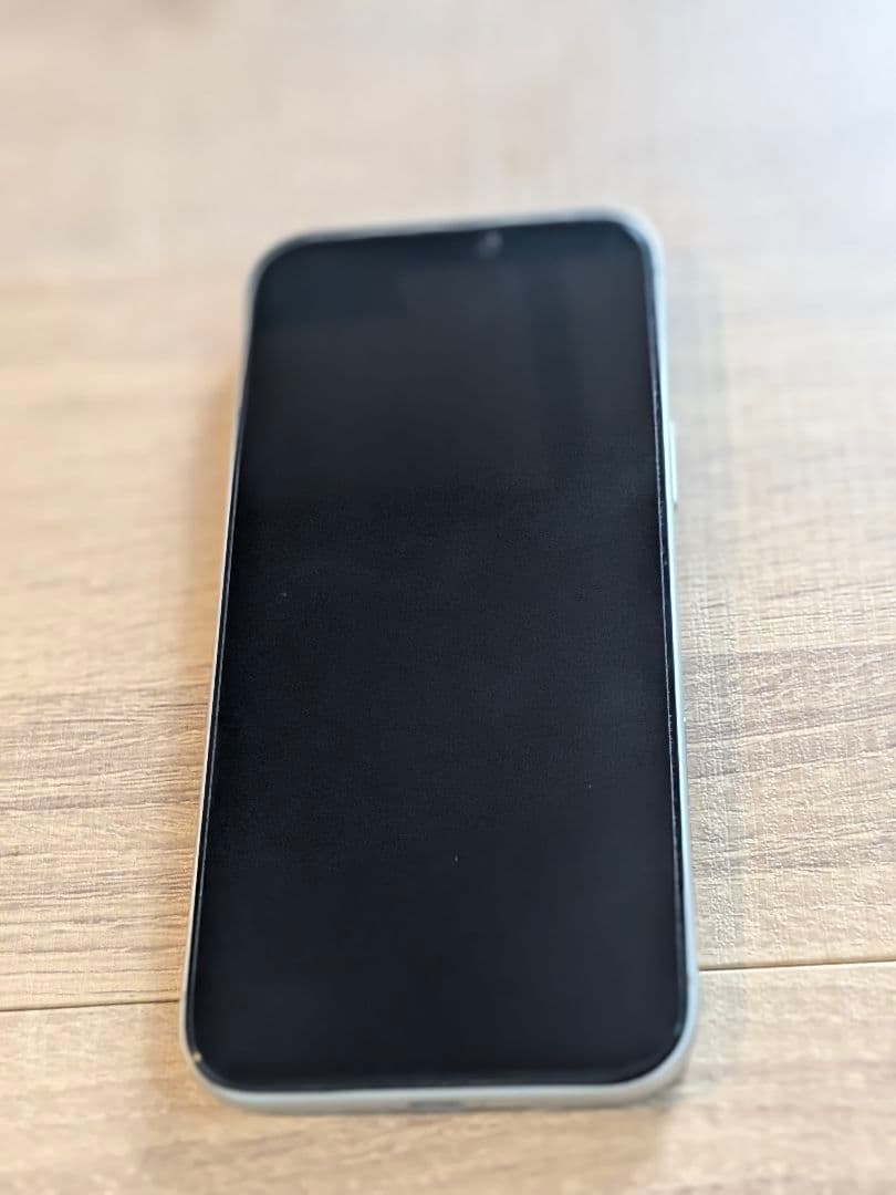 iPhone17proMax 1TBアメリカ版シャッター音無し純正ケースと紐付き