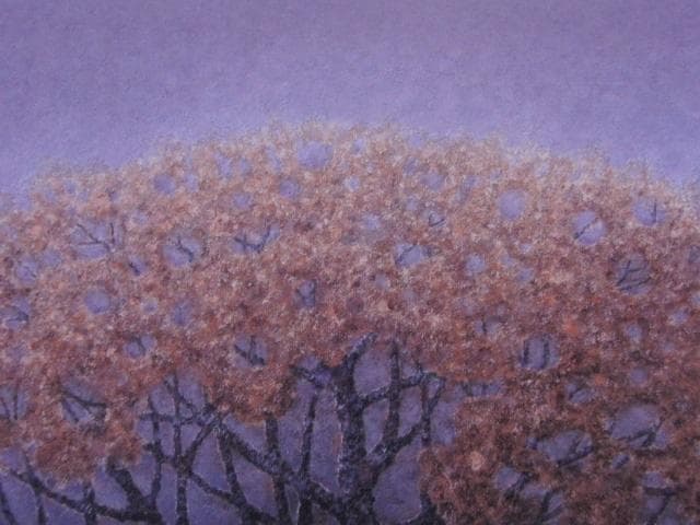 瀬尾一嘉、【鎌倉山桜】、希少な大判額装用画集より、美品、日本人画家、新品額装付