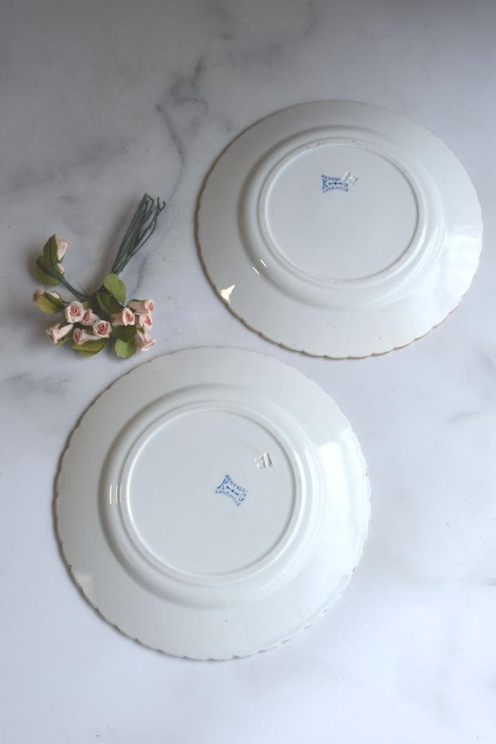 2枚組　美品　リュネビル　DENTELLE（レース）皿　フランスアンティーク